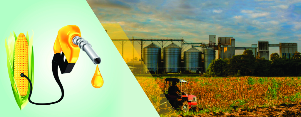 ETHANOL FOR INDIA u2013 Ethanol Blended Petrol Program